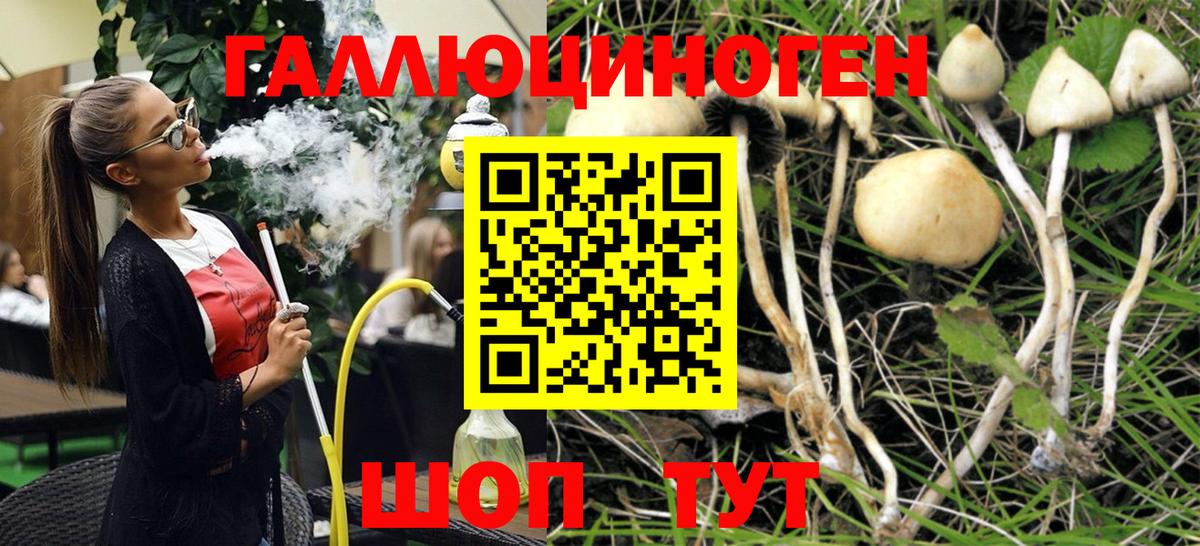 Галлюциногенные грибы мухоморы  сколько стоит  Кандалакша  Вход с VPN 