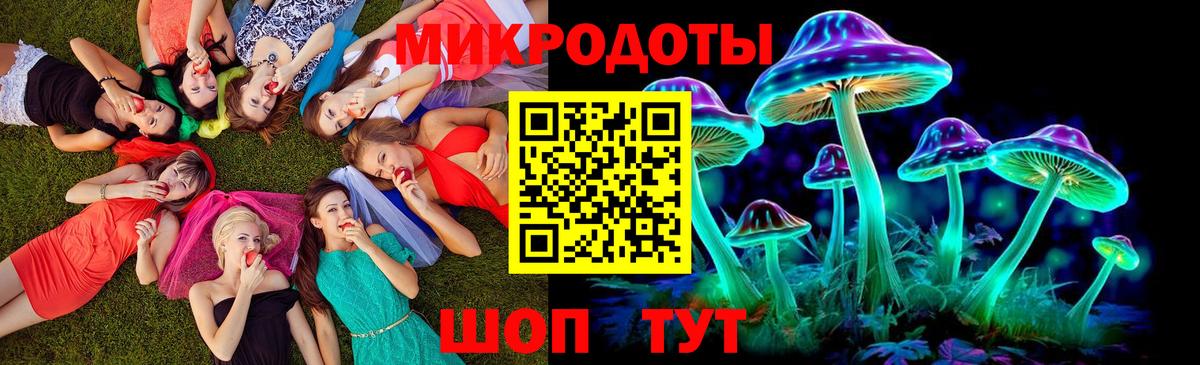 Галлюциногенные грибы Psilocybine cubensis Кандалакша